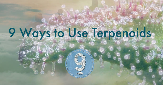 9 Ways to Use Terpenoids