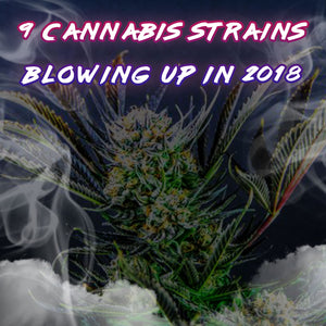 9 Cannabis Strains Blowing Up In 2018