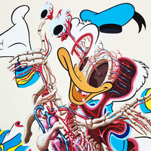 Nychos - Dissection of Donal Duck