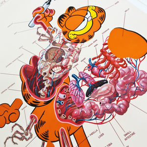 Nychos - Dissection of Garfield (Anatomy Sheet 2020)