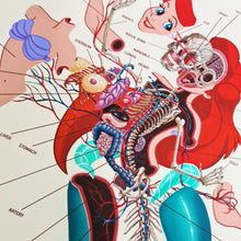 Nychos - Dissection of the Little Mermaid (Anatomy Sheet 2020)