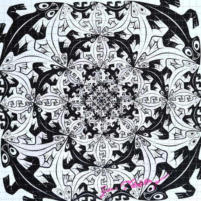 Zane Kesey - Escher III
