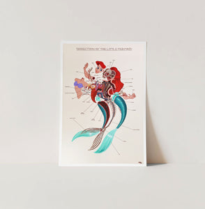 Nychos - Dissection of the Little Mermaid (Anatomy Sheet 2020)
